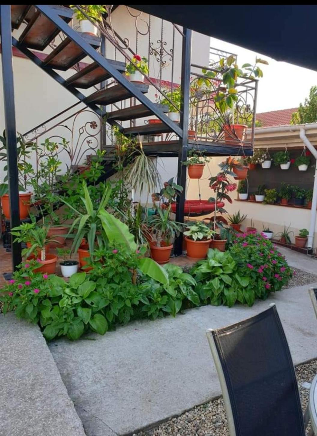 Vila Robert Hotel Schitu Exterior foto