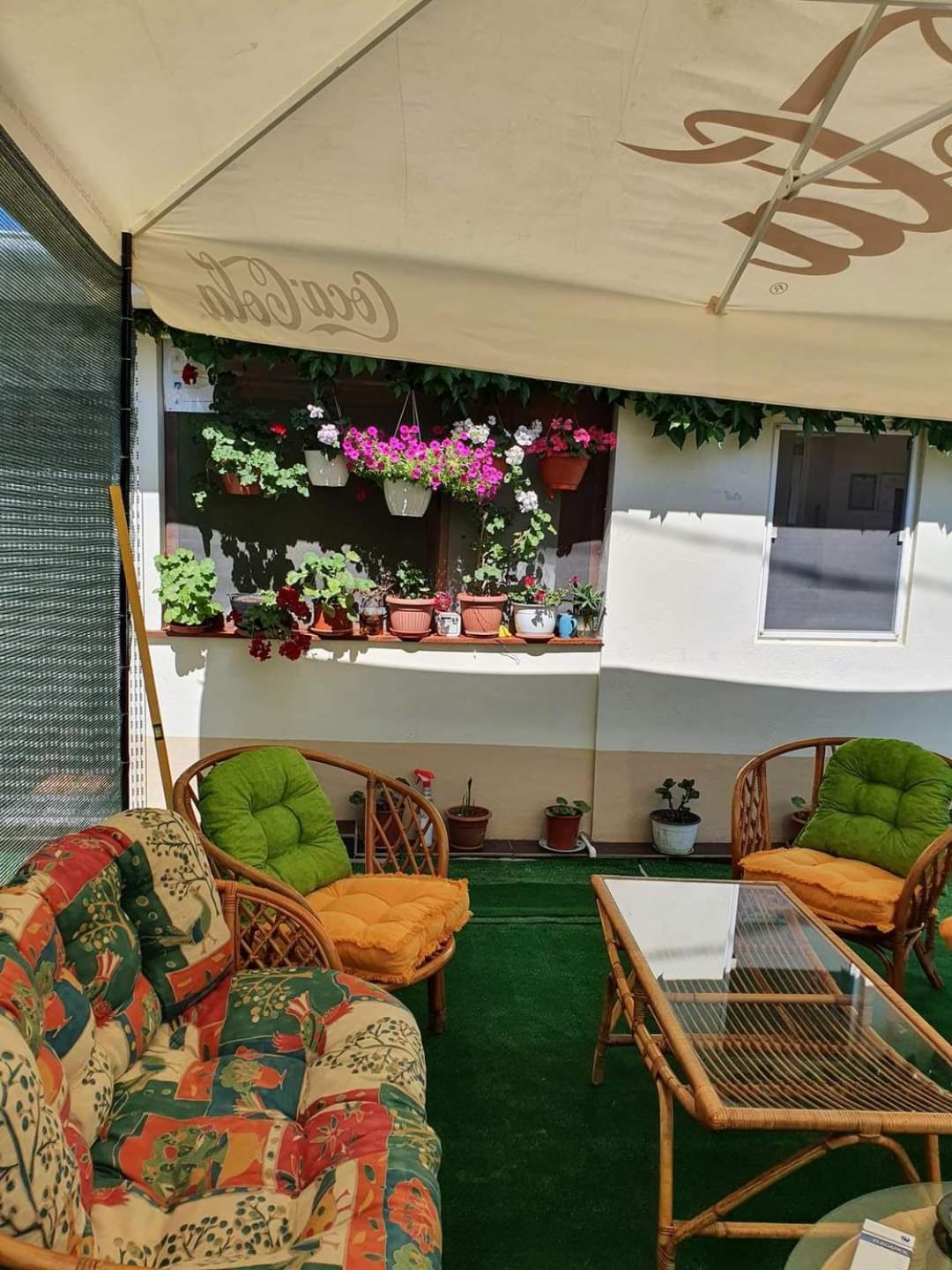 Vila Robert Hotel Schitu Exterior foto