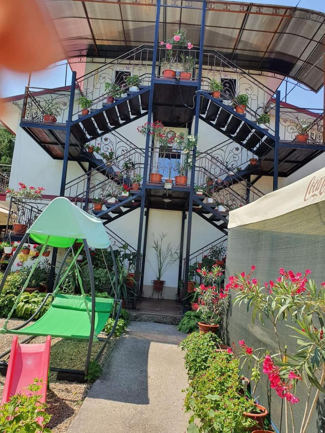 Vila Robert Hotel Schitu Exterior foto